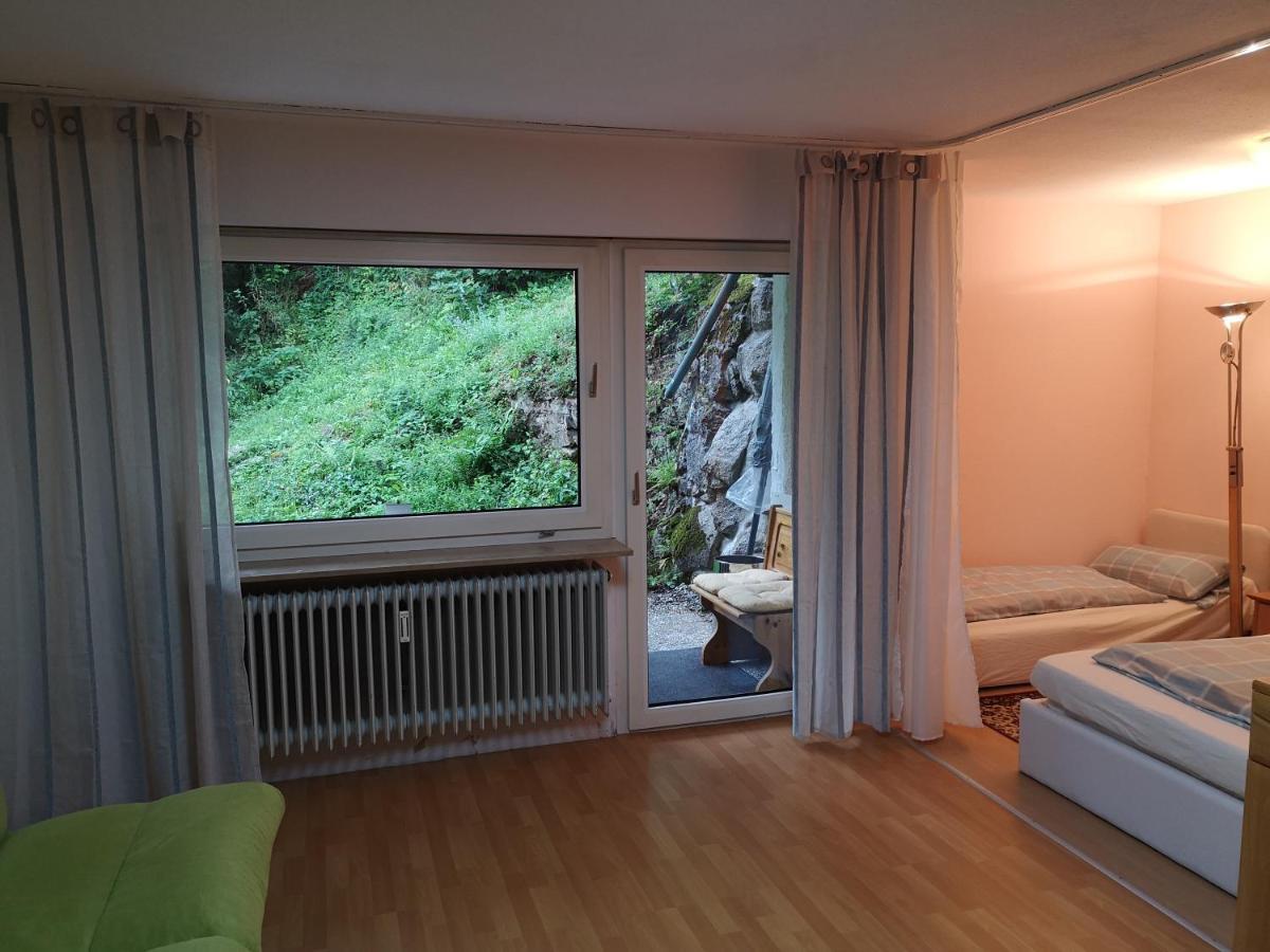 Appartment Leo Schoenwald im Schwarzwald Exterior photo