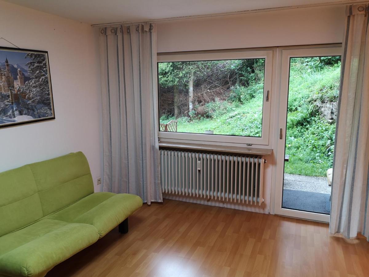 Appartment Leo Schoenwald im Schwarzwald Exterior photo